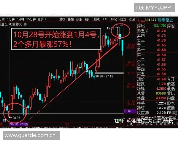 赛后复盘:北京排球队与杭州排球队状态对比分析与未来展望